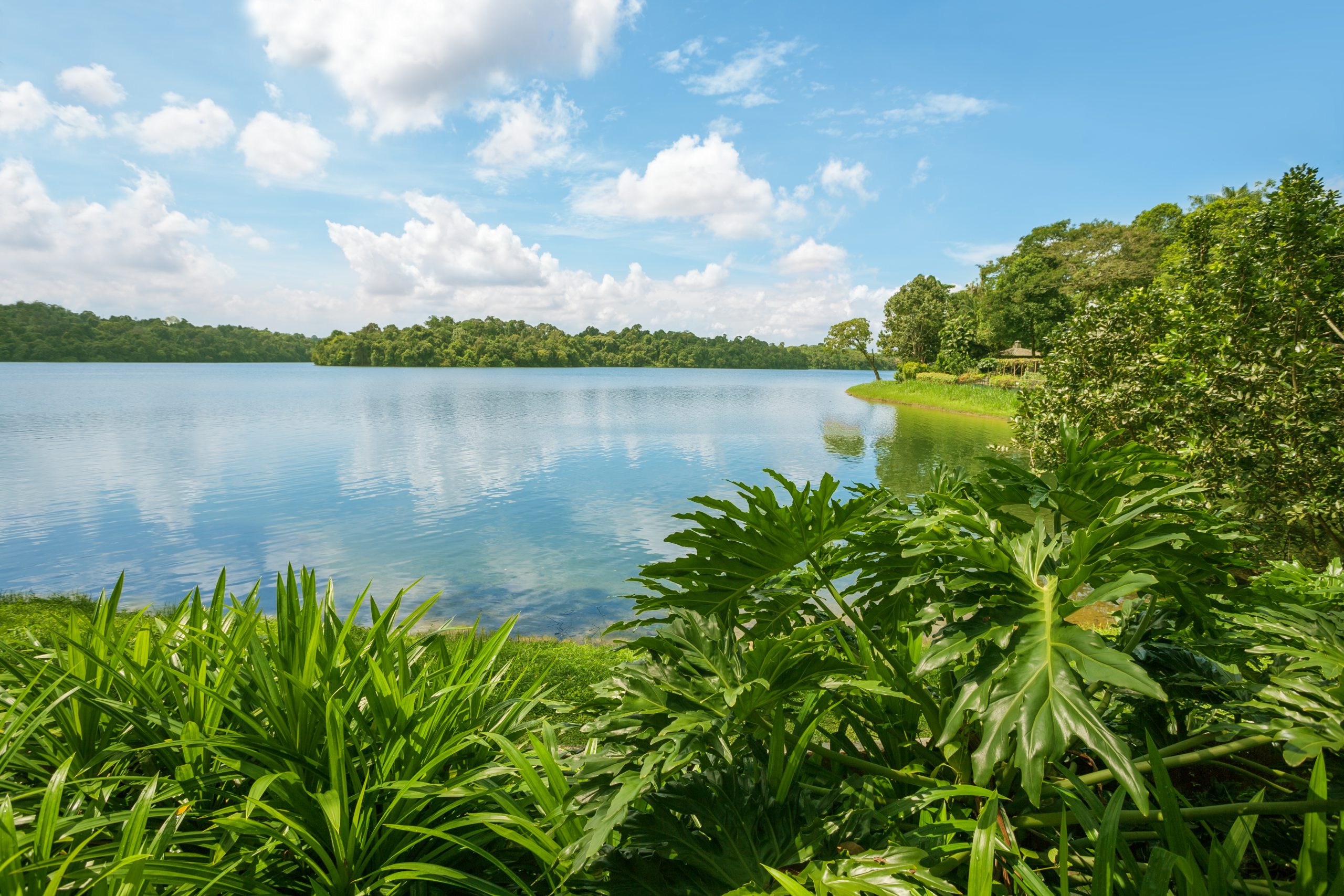 Upper Seletar Reservoir